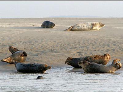 Gite De La Baie D'Authie Groffliers ภายนอก รูปภาพ